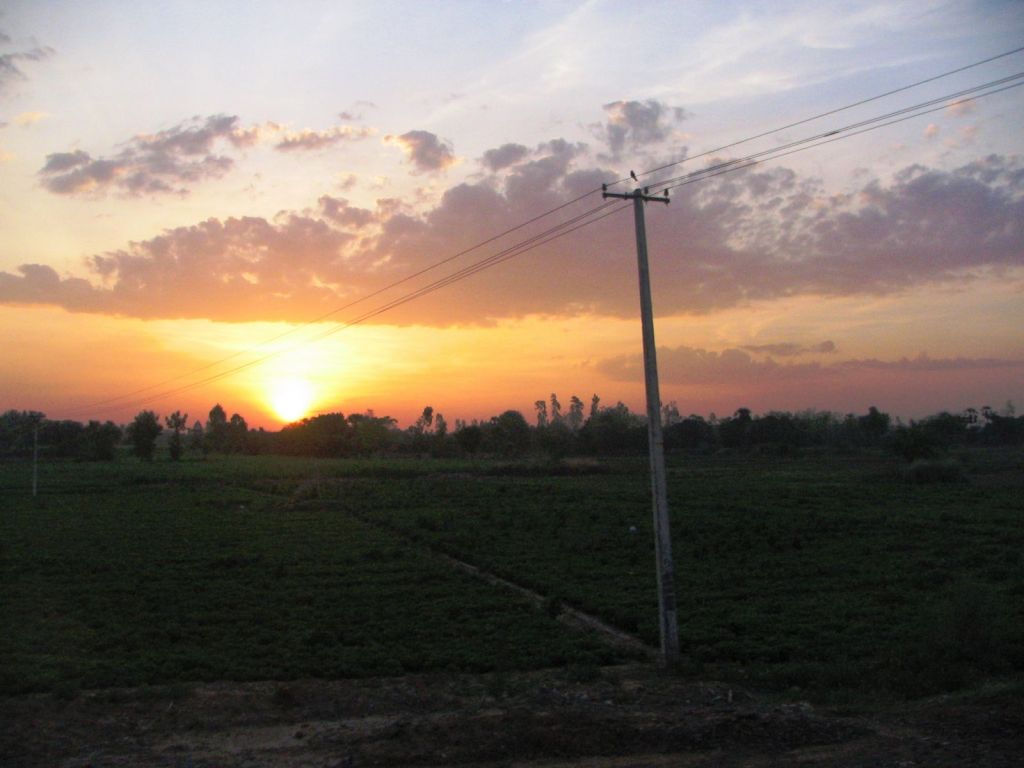 Power-Cut: Semester in Pondicherry,&nbsp;India