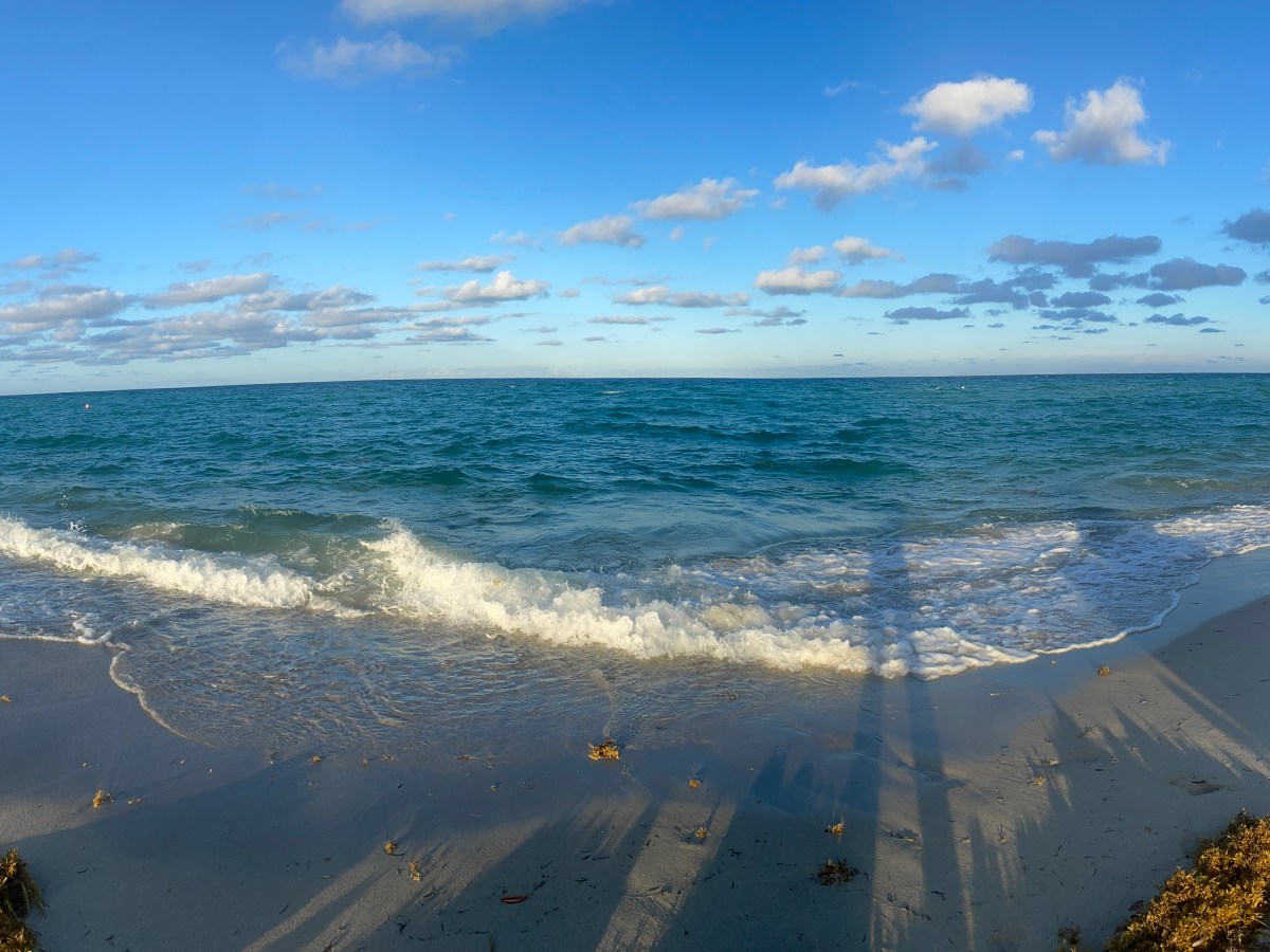 Science Communication: My first dabbling in 2013 at Science Online:&nbsp;Oceans!